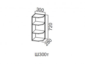 Ш300т/720 Шкаф навесной 300/720 (торцевой) в Карабаше - karabash.magazin-mebel74.ru | фото