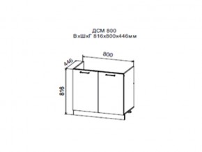 Шкаф нижний ДСМ800 под мойку в Карабаше - karabash.magazin-mebel74.ru | фото