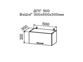 Шкаф верхний ДПГ500 горизонтальный в Карабаше - karabash.magazin-mebel74.ru | фото