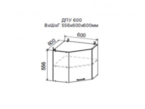 Шкаф верхний ДПУ600 угловой в Карабаше - karabash.magazin-mebel74.ru | фото